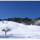 DSC005 _50_.JPG