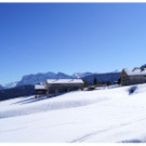 DSC005 _81_.JPG