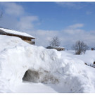 DSC005 _78_.JPG