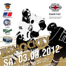 Eishockey Force Liga Kampf um den Meistertitel