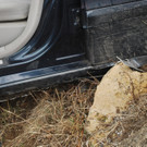 01032012_VU Forststra__e Ternitz _6_.JPG