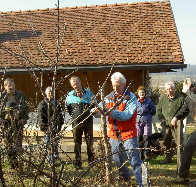 20110311a Baumschnittkurs.jpg