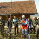 Obstbaumschnittkurs