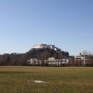IMG_2514.JPG