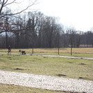IMG_2517.JPG