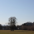 IMG_2518.JPG