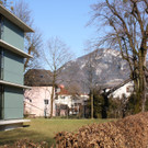 IMG_2523.JPG