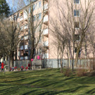 IMG_2527.JPG