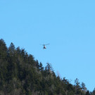 normal_01032012fmt_seilbergung_mw_02.JPG