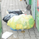 M__llinsel Fu__ach 28_02_2012 13_JPG-1330631623