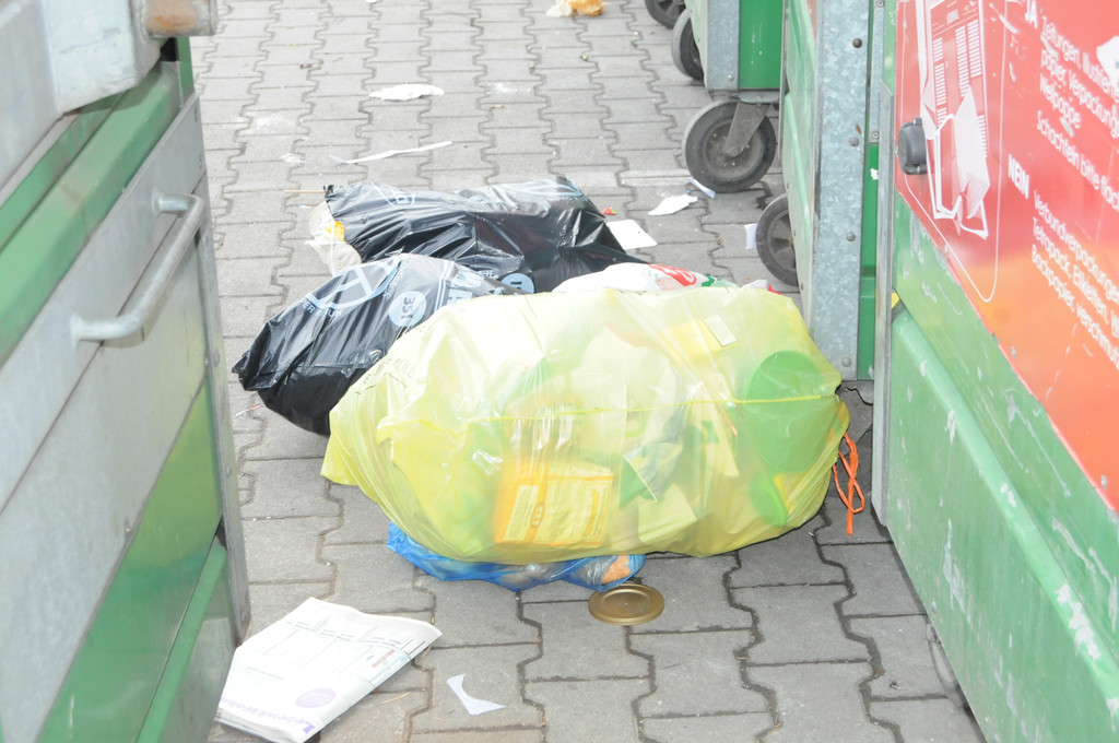 M__llinsel Fu__ach 28_02_2012 13_JPG-1330631623