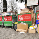 M__llinsel Fu__ach 28_02_2012 33_jpg-1330631777
