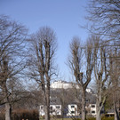 01032012wetter2at05004de01001aktivnews_102.jpg