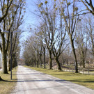 01032012wetter2at05004de01001aktivnews_094.jpg