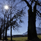 01032012wetter2at05004de01001aktivnews_108.jpg