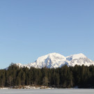 01032012de01003fuel__5_.JPG