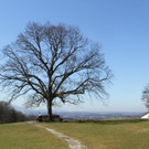 01032012wetter2at05004de01001aktivnews_046.jpg