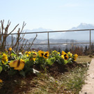 01032012wetter2at05004de01001aktivnews_009.jpg