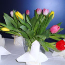 DSC04872.JPG