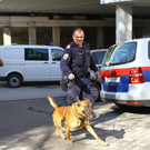 normal_02032012borg_oegussa_013.JPG