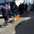 normal_02032012borg_oegussa_014.JPG