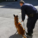 normal_02032012borg_oegussa_017.JPG