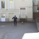 normal_02032012borg_oegussa_018.JPG