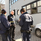 OegussaRaub02031207.jpg