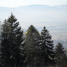 paragleiter2.jpg