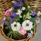 blumenakzente14_jpg-1330707204