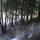 02032012pkwabsturzat05004aktivnews_72.jpg