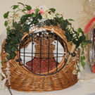 DSC09001.JPG