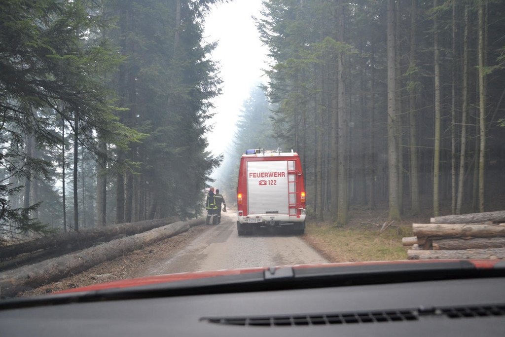 03032012_Verm_ Waldbrand Steyersberg _2_.JPG