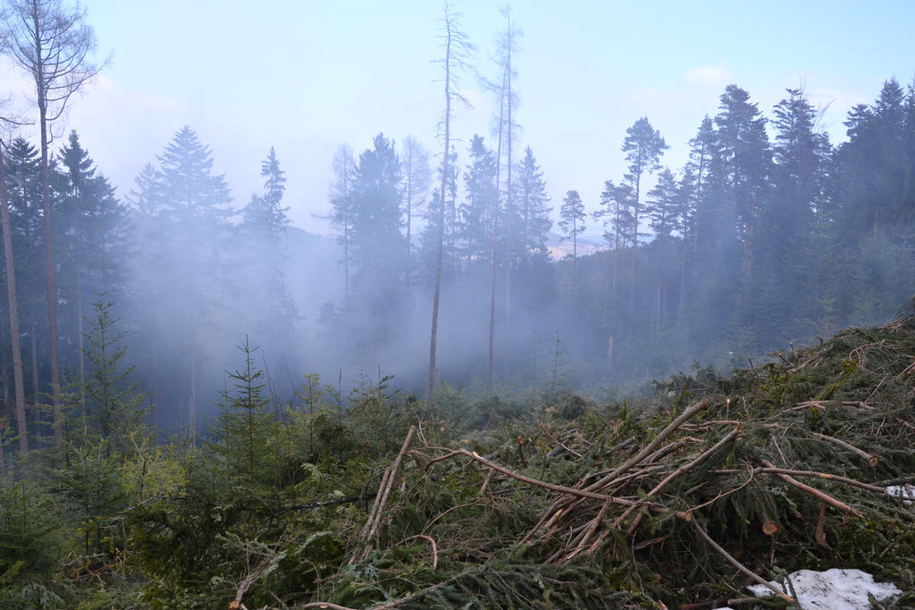 03032012_Verm_ Waldbrand Steyersberg _4_.JPG