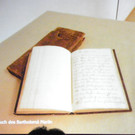 113_8972_JPG-1330817755