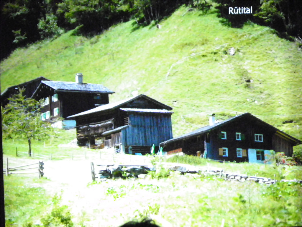 113_8973_JPG-1330817761