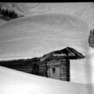 113_8975_JPG-1330817766