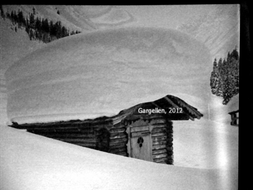 113_8975_JPG-1330817766