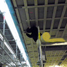 113_8356_JPG-1330820281