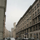 IMG_9788.jpg