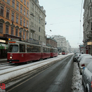 IMG_9790.jpg