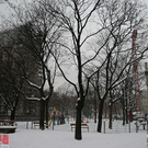 IMG_9792.jpg