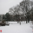 IMG_9793.jpg