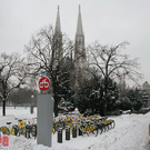 IMG_9794.jpg