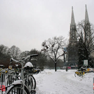 IMG_9795.jpg