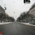 IMG_9796.jpg