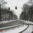 IMG_9801.jpg