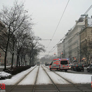 IMG_9807.jpg