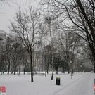 IMG_9808.jpg