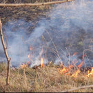 Brand Wiese Sollenau